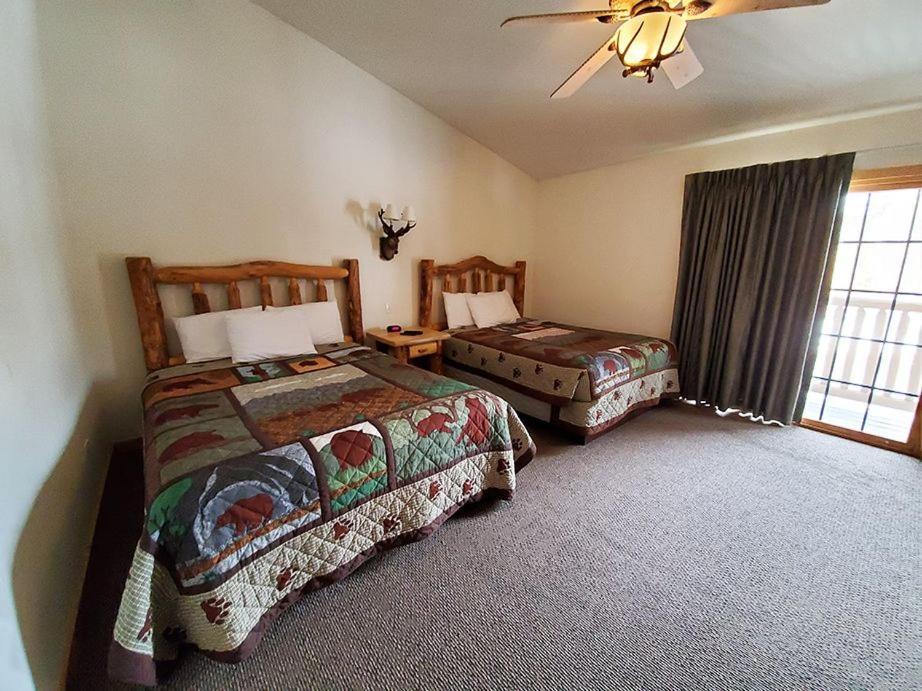 Grand Bear Resort At Starved Rock Utica المظهر الخارجي الصورة
